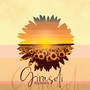 Girasoli