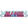 Bleach (facy's version)