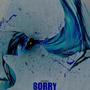 SORRY (REMIX)