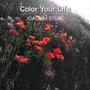 Color Your Life