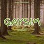 Gaysim