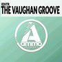 The Vaughan Groove (Original Mix)