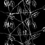 OSMIUM 1