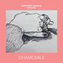 Chamomile (07/08)