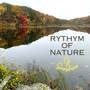 Rythym of Nature (Friend Cover)