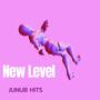 New Level (feat. Money Maniac)