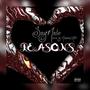 Reasons (Explicit)