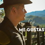 Me Gustas