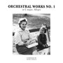 Orchestral Works No. 1 (Allegro)