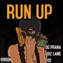 RUN UP (feat. LOIZ LANE & 202) [Explicit]