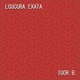 Loucura Exata