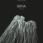 Shiva Shavasana