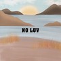 NO LUV (Explicit)