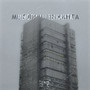 МЫСЛИ МУЗЫКАНТА (Explicit)