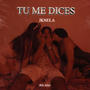 TU ME DICES (Explicit)