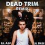 DEAD TRIM REMIX (feat. Lil Bree) [Explicit]