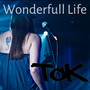 Wonderful Life