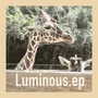 Luminous