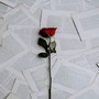 Another Love