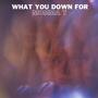 What You Down For (Explicit)