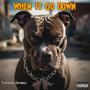 When It Go Down (Explicit)