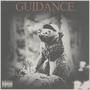 Guidance (Explicit)