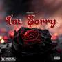 Im Sorry ( Extended Version) [Explicit]