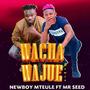 WACHA WAJUE REMIX (feat. MR SEED)