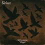 Schwarze Vögel (Explicit)