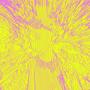 The funk is Acid
