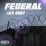 Federal (Explicit)