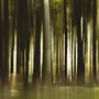 Lost Signal (Explicit)