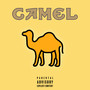 Camel (Explicit)