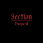 Section (Explicit)
