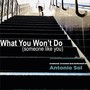What You Won't Do (Someone Like You)