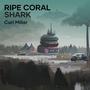 Ripe Coral Shark