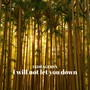 I will not let you down