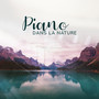 Piano dans la nature - Musique apaisante pour dormir, Méditation de pleine conscience, Yoga et pluie, Plage, Sons de l'eau