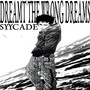 Dreamt the Wrong Dreams (Explicit)