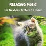 Relaxing Music for Newborn Kittens to Relax