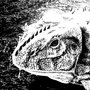 Beuh Magique (Frapcore Remix)