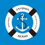 Anchors. The Best of Senoo 2000-2009