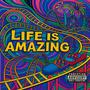 Life Is Amazing