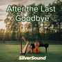 After the Last Goodbye (Explicit)