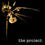 The Project