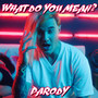 What Do You Mean? (Parody)