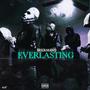 Everlasting (Explicit)