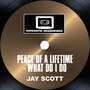 Peace Of A Lifetime - What Do I Do