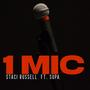 1 MIC