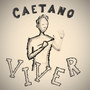 Viver